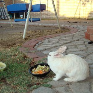 Meet your Posher, Jose